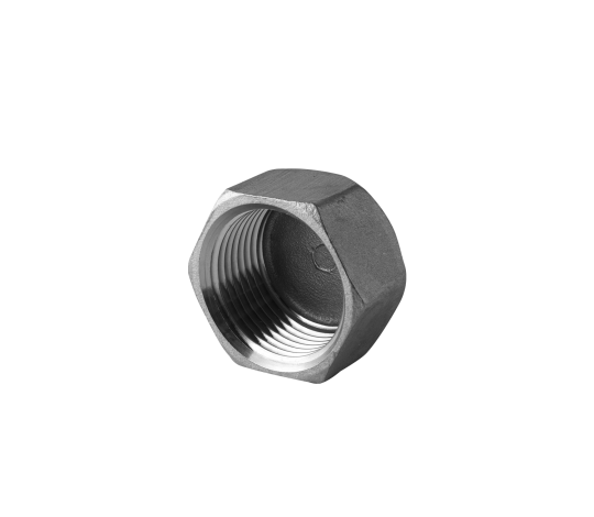 Tappo femmina in acciaio inox 150 LBS